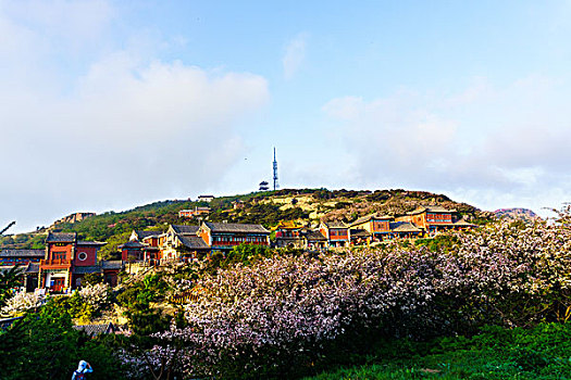 泰山风光