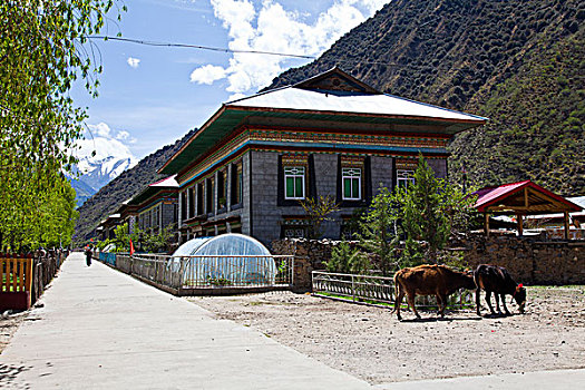 拉萨,江布工达县,阿沛新村,西藏
