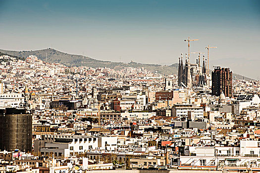 城市,风景,神圣家族教堂,建筑起重机,巴塞罗那,西班牙