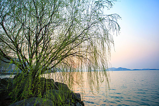 窖湖,倒影,水面,湖