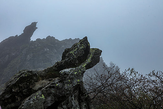 神农架,板壁岩,风景,景点,旅游,高山,神秘,树木,植被,石头,鄂西,奇石