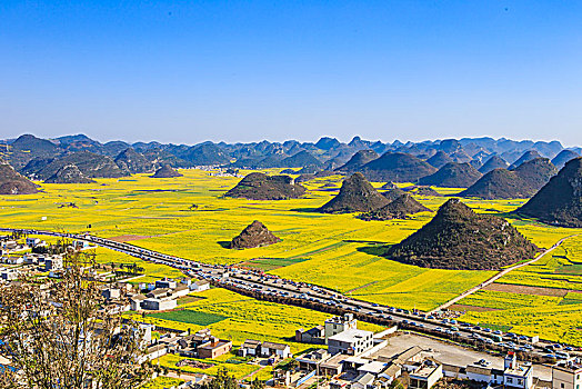 春天,油菜花,花海,大地,螺丝田,金黄,田园,阳光,山丘