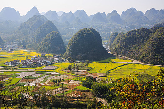 万峰林春色