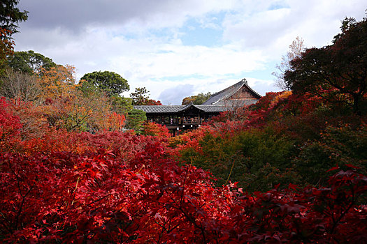 日本京都东福寺