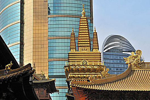 庙宇,摩天大楼,背影,上海,中国,亚洲