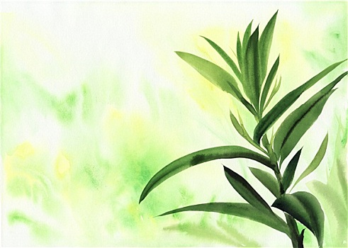 棕榈树,竹子,水彩画