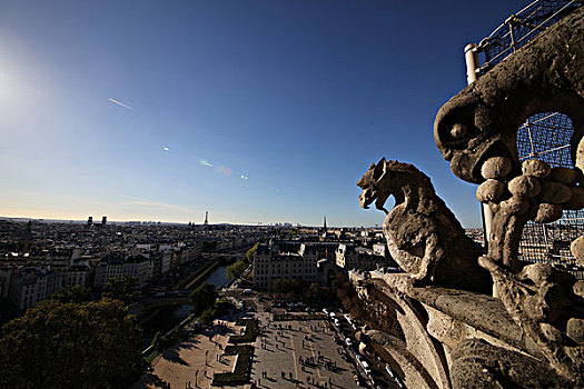 巴黎圣母院钟楼