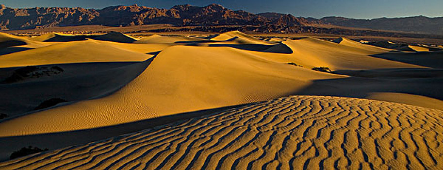 沙丘,波纹,早晨,亮光,落下,靠近,炉子,区域,死谷,加利福尼亚