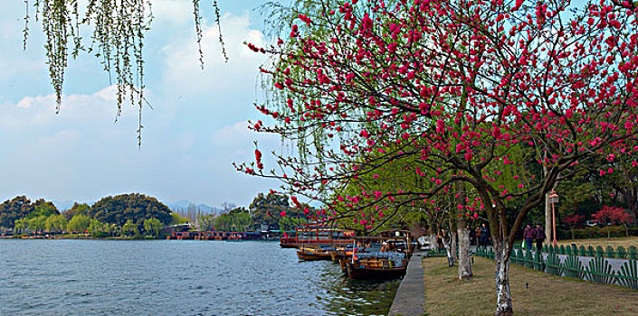 西湖十景,苏堤春晓