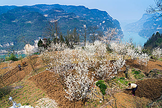 长江三峡西陵峡