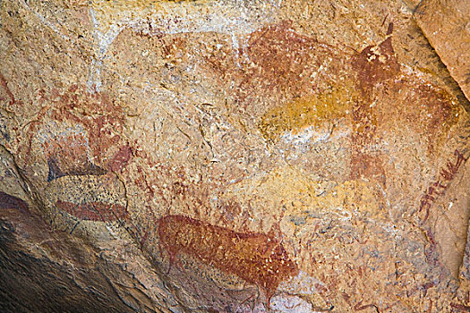 岩画,原住民,德拉肯斯堡,国家公园,南非