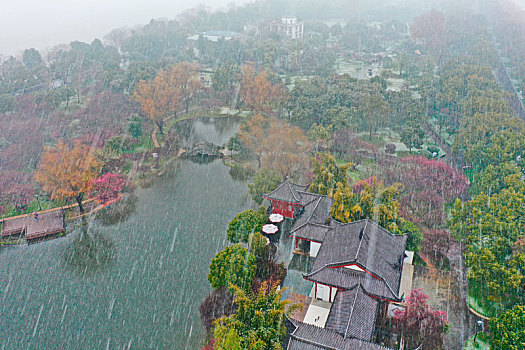 雪中梅花园