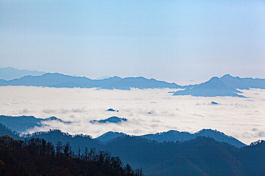 紫柏山云海