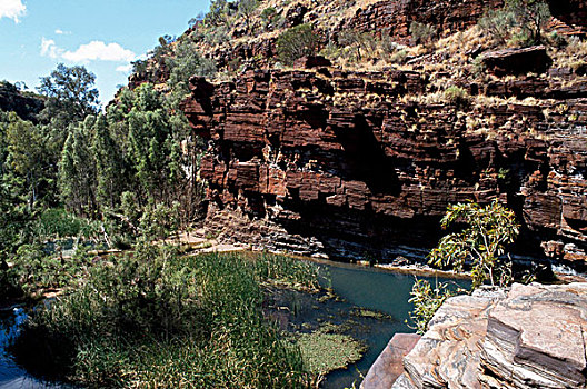 反射,石头,水中,卡瑞吉尼国家公园,西澳大利亚,澳大利亚