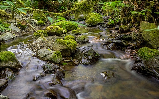 温和,溪流