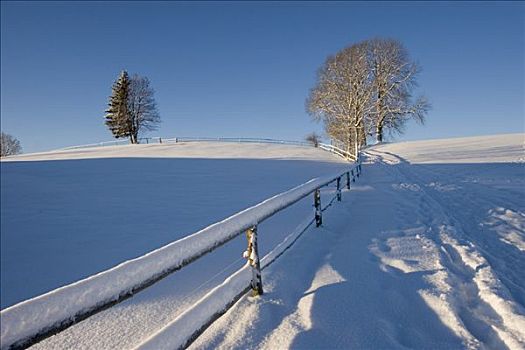 积雪,风景,上巴伐利亚,德国
