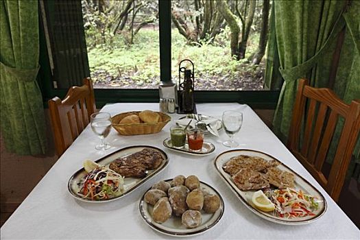 荤菜,泻湖,大,餐馆,加拉霍艾国家公园,加纳利群岛,西班牙,欧洲