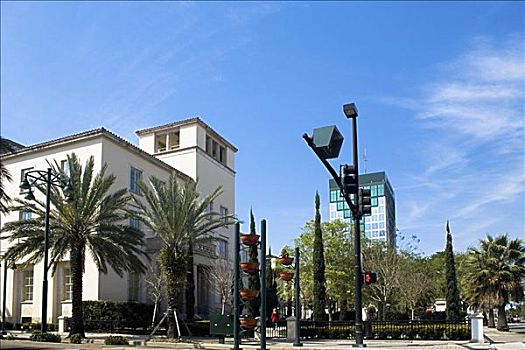 仰视,棕榈树,正面,建筑,奥兰多,佛罗里达,美国