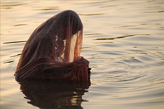 女人,祈祷,水中,早晨,靠近,拉贾斯坦邦,北印度,亚洲