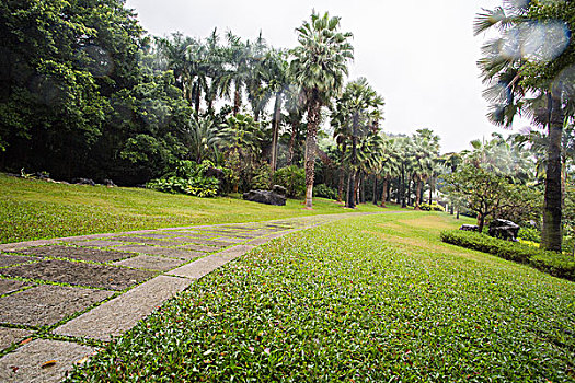 亚热带,热带风光,植物园