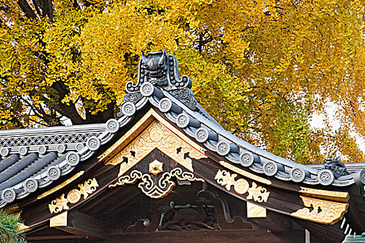 日本,京都,庙宇,特写,屋顶,秋叶
