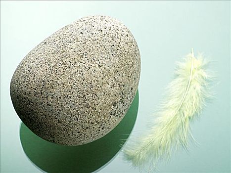 石头,羽毛