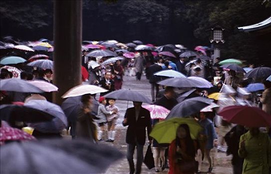日本,东京,街道,拥挤,拿着,伞,动感