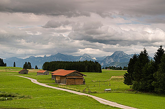 道路,小屋,阿尔卑斯山
