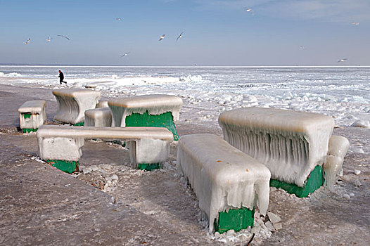 冰,咖啡,桌子,长椅,海滩,冰冻,黑海,稀有,现象,时间,敖德萨,乌克兰,东欧