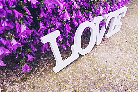 爱情,文字,紫色,花,花园