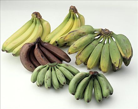 种类,香蕉