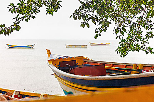 彩色,渔船,海洋,巴西