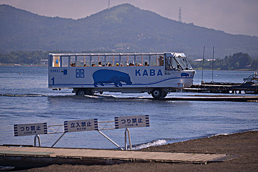 南都留郡,两栖,日本