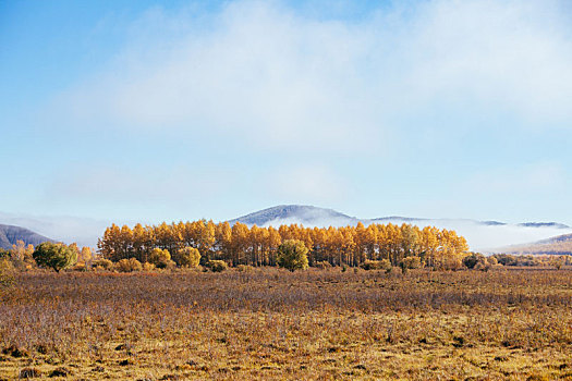 秋景