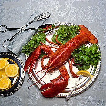 特写,龙虾,准备好,优雅,餐饭