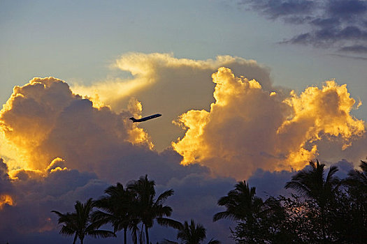 夏威夷,漂亮,云,日落,剪影,飞机