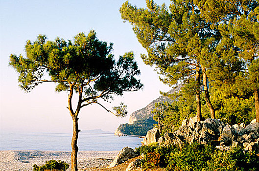 风景,海洋,岩石海岸,土耳其