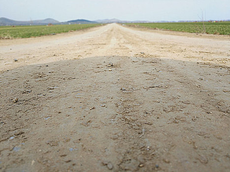 乡村路,路,乡村土路,林间道路