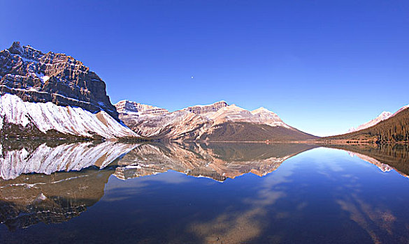 景色,反射,弓湖,班芙国家公园,艾伯塔省,加拿大