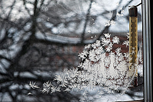 冰晶,窗户,冬天,温度计