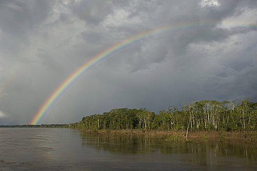 秘鲁,亚马逊河,盆地,靠近,伊基托斯,河,彩虹