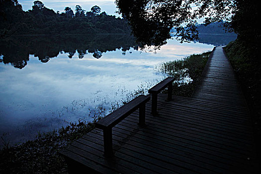 长木凳,边缘,湖,围绕,树,晚上