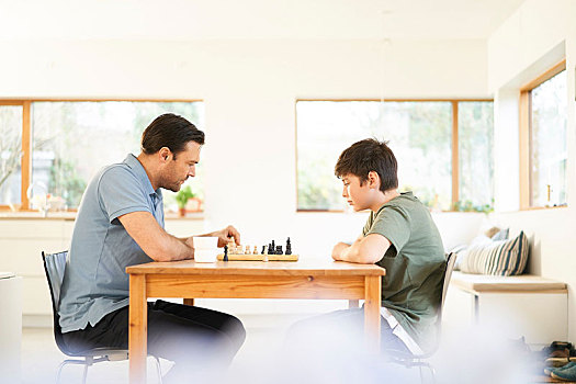 男孩,父亲,玩,下棋,客厅,桌子