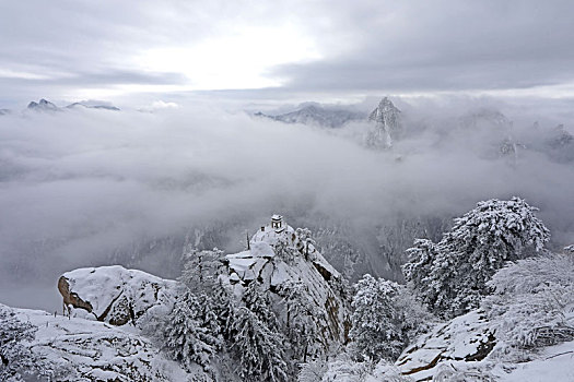 雪后华山宛如画