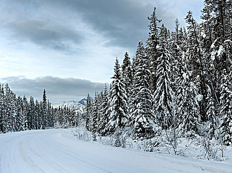 积雪,道路,山脉,玛琳湖,碧玉国家公园,艾伯塔省,加拿大