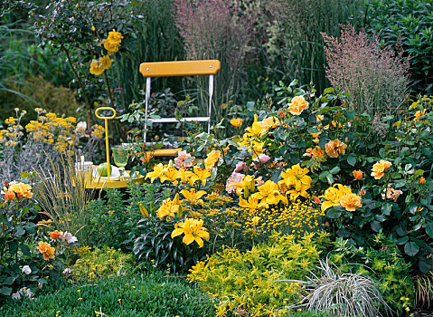 内庭,黄色,花坛,粉色,龙舌兰,床,玫瑰,百合
