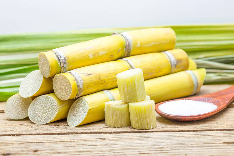 糖,甘蔗,白色背景,背景_高清图片_全景视觉