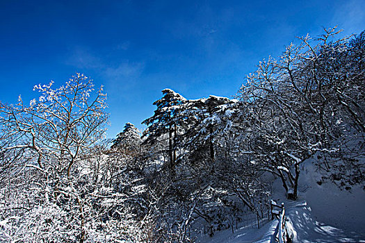 黄山雪景