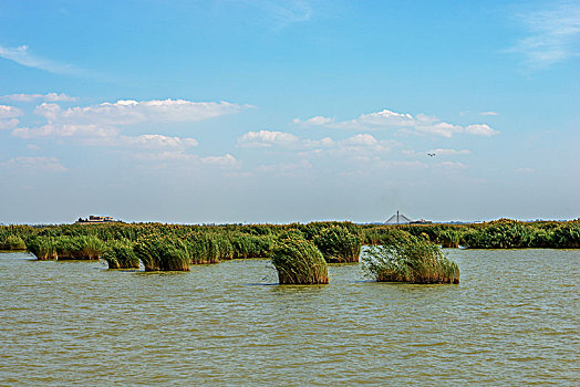 中国,宁夏回族自治区,银川,沙湖景观