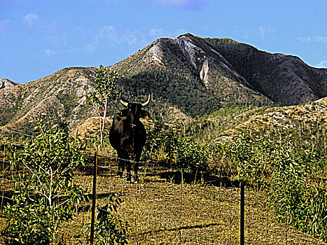 新加勒多尼亚,北部省,风景